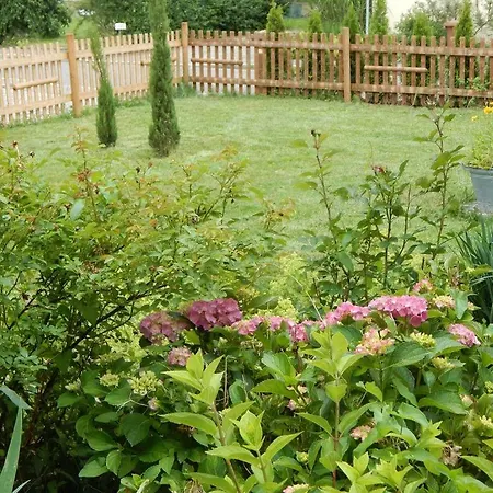 Ferienhaus Moos Hébergement de vacances